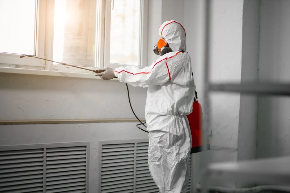 Professional mold remediation services in Colcord, OK
